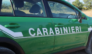Multato cercatore d’oro per uso di strumenti vietati nel fiume Elvo