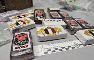 Novara - Giovane arrestato con 1,4 kg di hashish e piante di marijuana